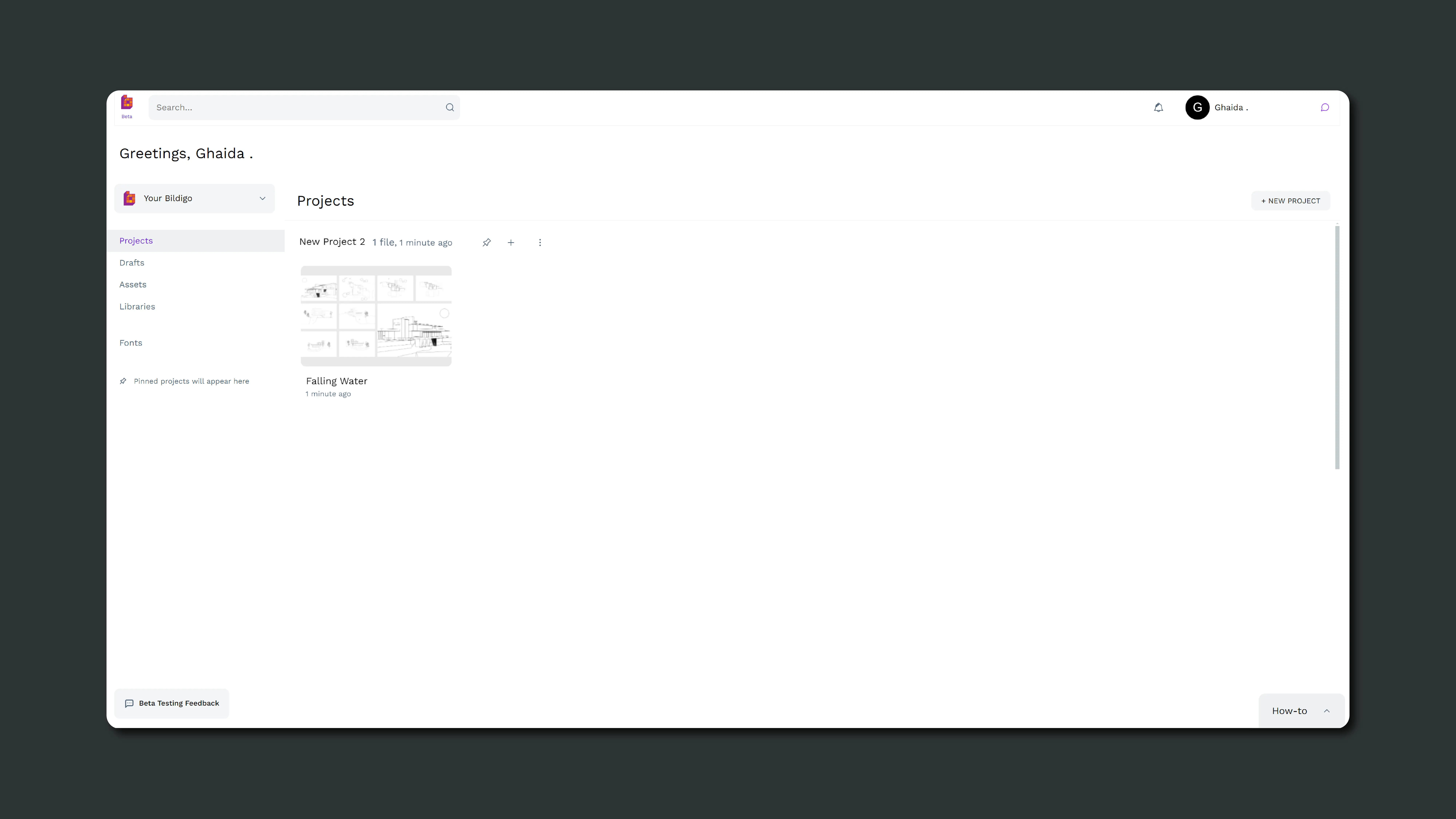 bildigo's dashboard
